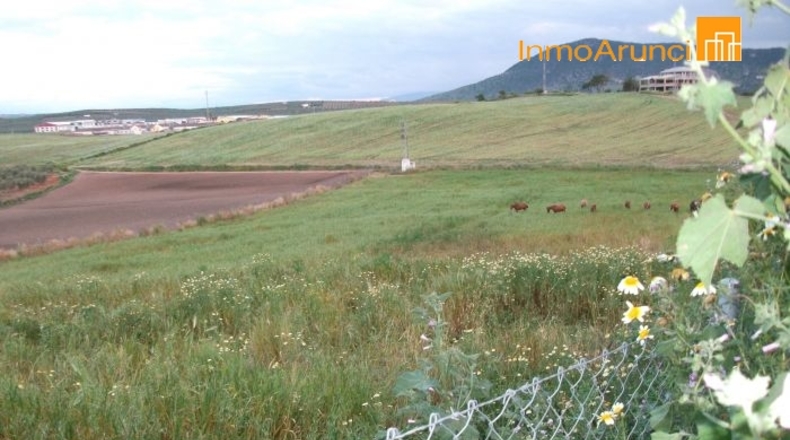 Sevilla - Morón de la Frontera - 50000m2