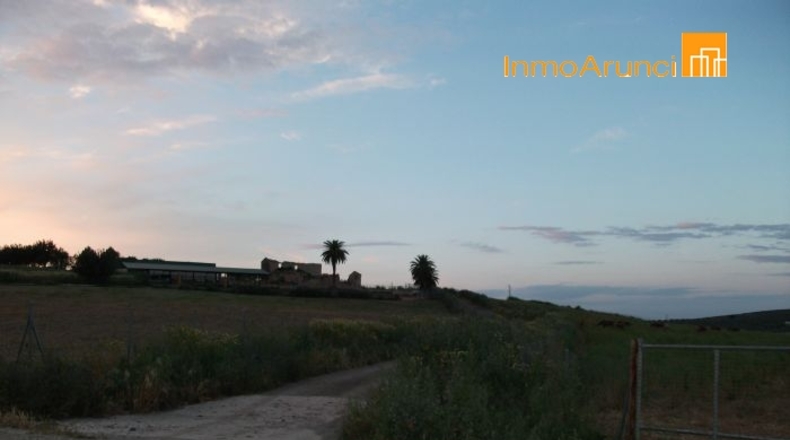 Sevilla - Morón de la Frontera - 50000m2