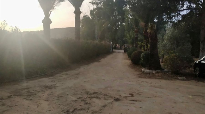 Sevilla - Morón de la Frontera - 475m2