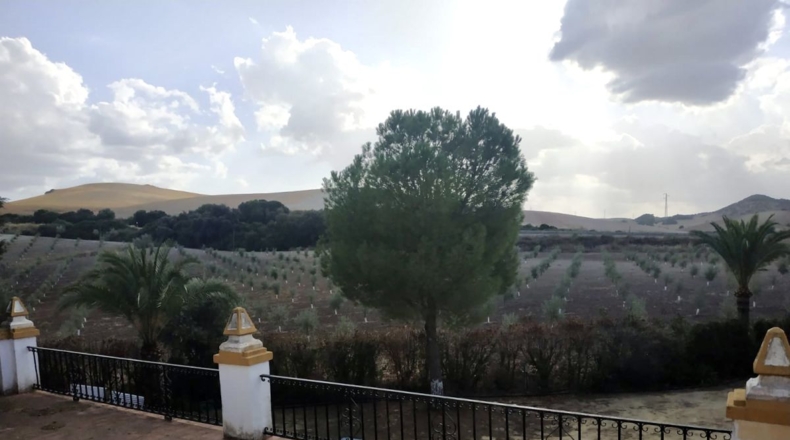 Sevilla - Morón de la Frontera - 475m2