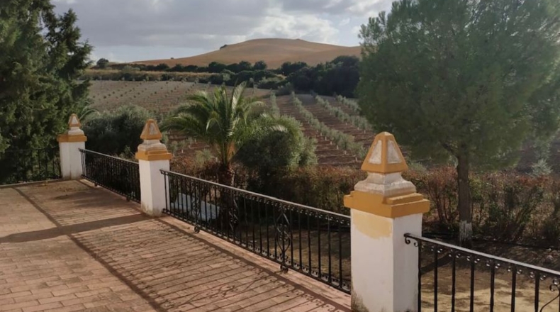 Sevilla - Morón de la Frontera - 475m2