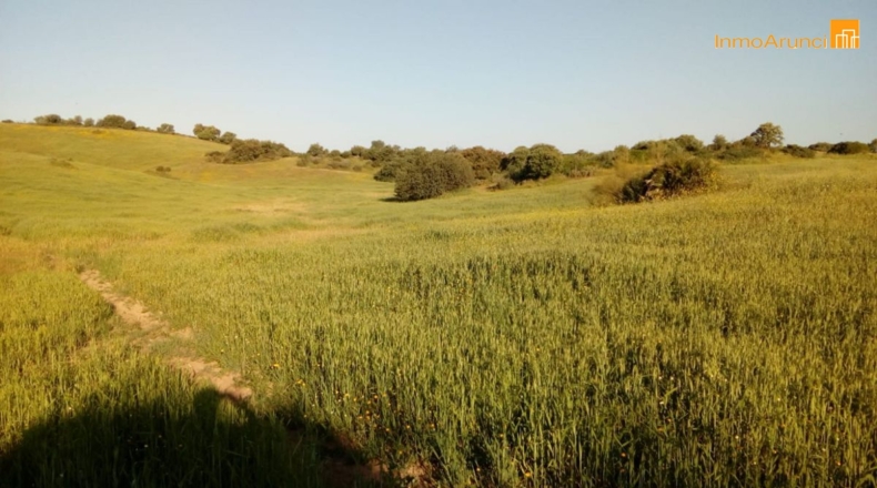 Sevilla - Morón de la Frontera - 12m2