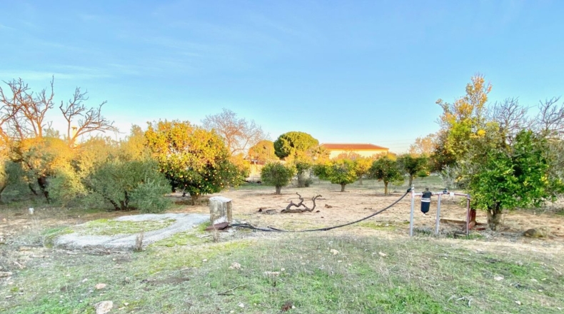 Sevilla - Morón de la Frontera - 20000m2