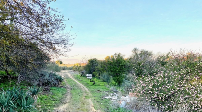 Sevilla - Morón de la Frontera - 20000m2