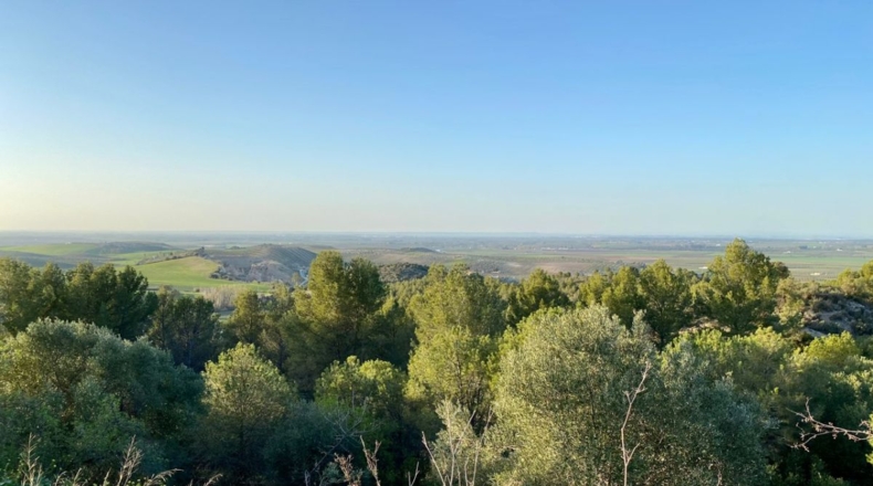 Sevilla - Morón de la Frontera - 208616m2