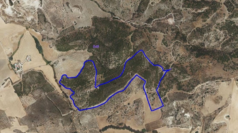Sevilla - Morón de la Frontera - 208616m2