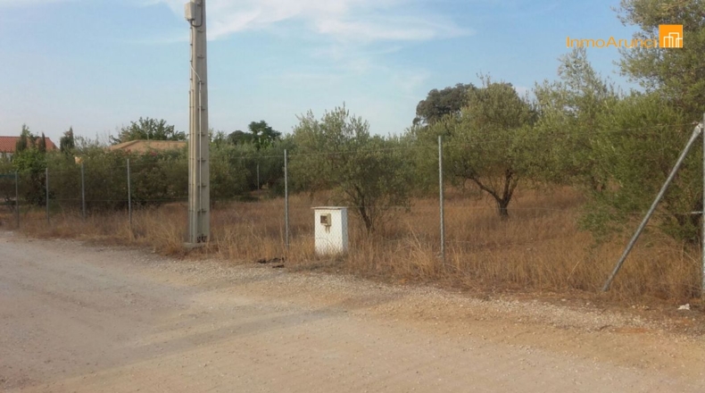 Sevilla - Morón de la Frontera - 1007m2