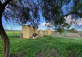 Casa de camp amb terreny en venda a la España, Morón de la Frontera, ref.: TR67425 foto