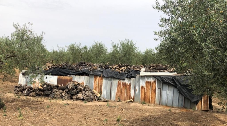 Sevilla - La Puebla de Cazalla - 9000m2