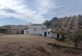 Villanueva de San Juan 180000&nbsp;m²