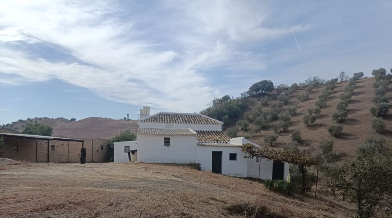 Sevilla - Villanueva de San Juan - 180000m2