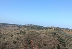 Villanueva de San Juan 180000&nbsp;m²