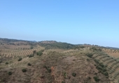 Country house with land for sale in Villanueva de San Juan ref: TR102618 photo