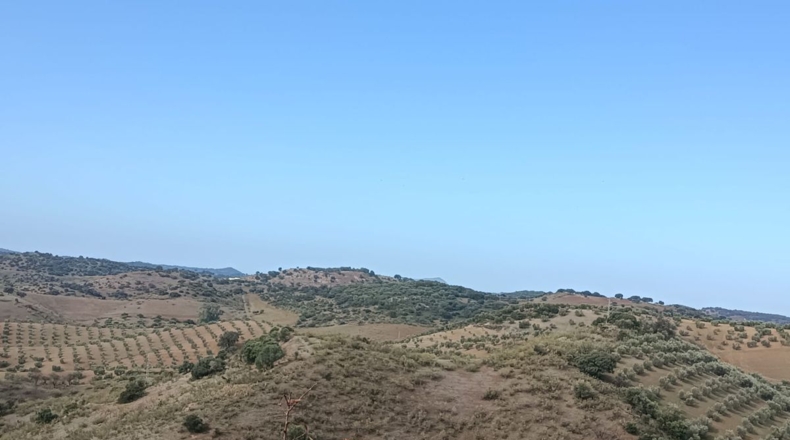 Sevilla - Villanueva de San Juan - 180000m2