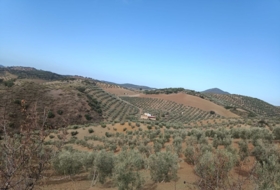 Villanueva de San Juan 180000&nbsp;m²