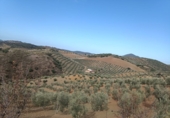 Country house with land for sale in Villanueva de San Juan ref: TR102618 photo