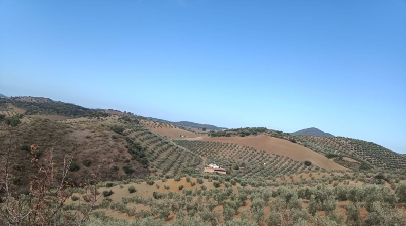 Sevilla - Villanueva de San Juan - 180000m2