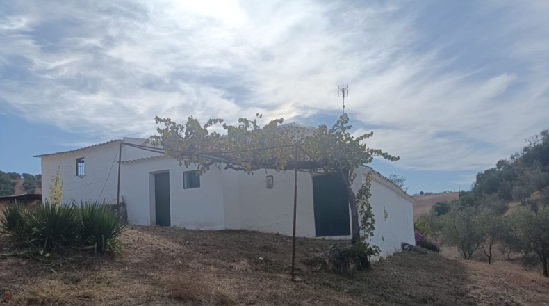 Sevilla - Villanueva de San Juan - 180000m2