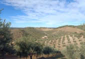 Country house with land for sale in Villanueva de San Juan ref: TR102618 photo