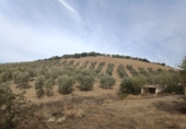 Country house with land for sale in Villanueva de San Juan ref: TR102618 photo