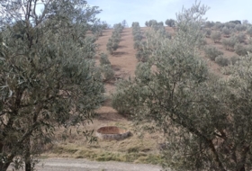 Villanueva de San Juan 180000&nbsp;m²