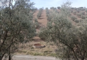 Country house with land for sale in Villanueva de San Juan ref: TR102618 photo