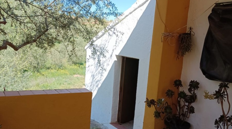 Sevilla - Villanueva de San Juan - 180000m2
