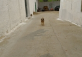 Rural estate for sale in Ciudad Real ref: TR346529 photo