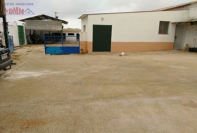 Foto 15