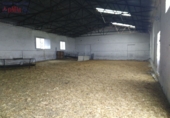 Rural estate for sale in Ciudad Real ref: TR346529 photo