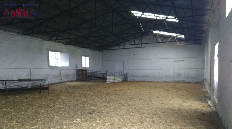Сьюдад-Реаль - Ciudad Real - 50000m2