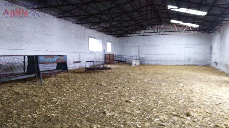 Сьюдад-Реаль - Ciudad Real - 50000m2