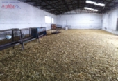 Rural estate for sale in Ciudad Real ref: TR346529 photo