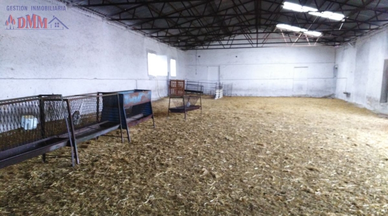 Сьюдад-Реаль - Ciudad Real - 50000m2