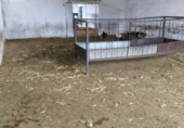 Rural estate for sale in Ciudad Real ref: TR346529 photo