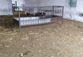 Rural estate for sale in Ciudad Real ref: TR346529 photo