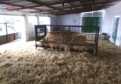Rural estate for sale in Ciudad Real ref: TR346529 photo