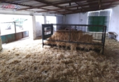 Rural estate for sale in Ciudad Real ref: TR346529 photo