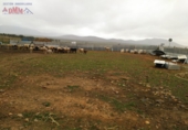 Rural estate for sale in Ciudad Real ref: TR346529 photo