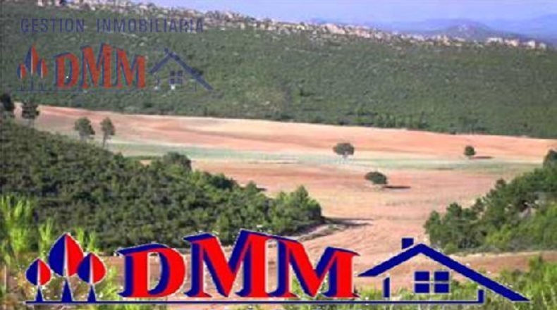 Ciudad Real - Carrión de Calatrava - 70000m2