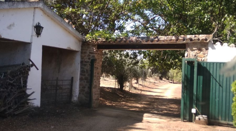 Ciudad Real - Ciudad Real - 2500000m2