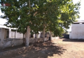 Finca rústica en venda a Ciudad Real ref.: TR105258 foto