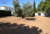 Finca rústica en venda a Ciudad Real ref.: TR105258 foto