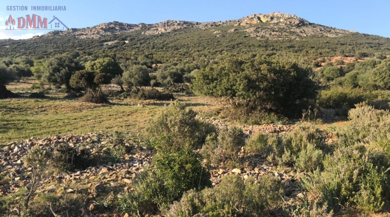 Ciudad Real - Malagón - 624m2