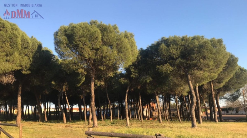 Ciudad Real - Malagón - 624m2