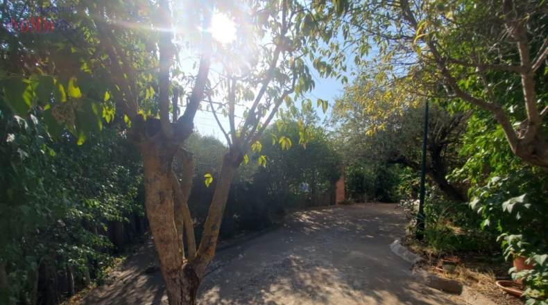 Ciudad Real - Malagón - 624m2