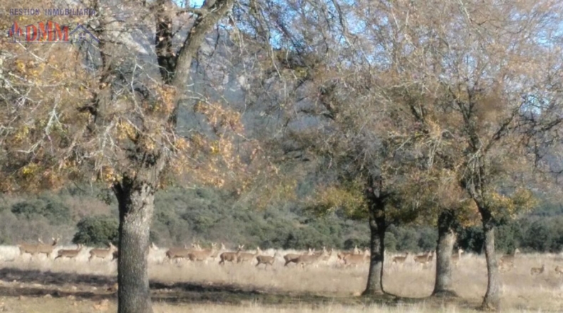 Ciudad Real - Cabezarrubias del Puerto - 6000000m2