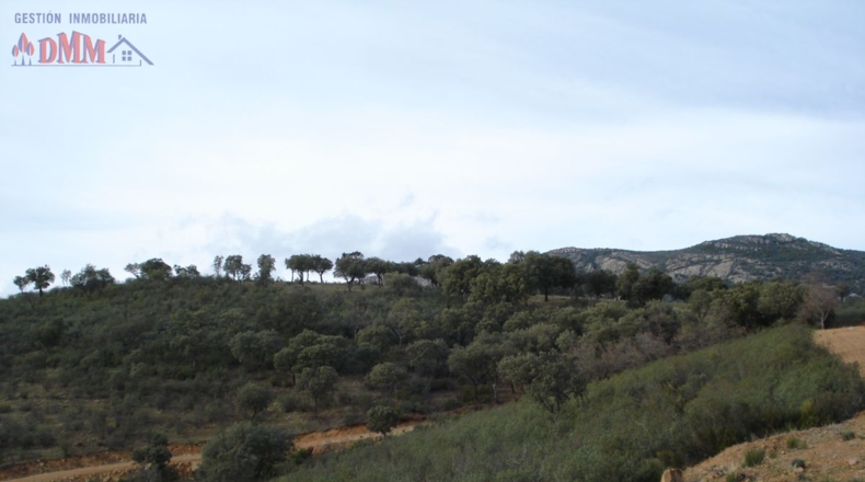 Ciudad Real - Cabezarrubias del Puerto - 6000000m2