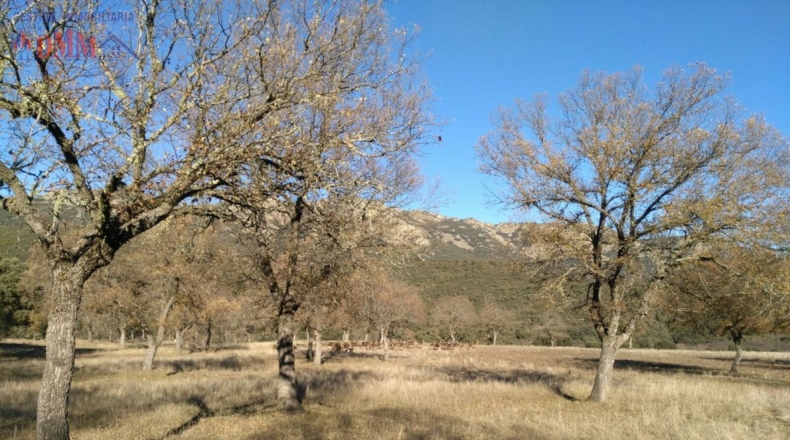 Ciudad Real - Cabezarrubias del Puerto - 6000000m2