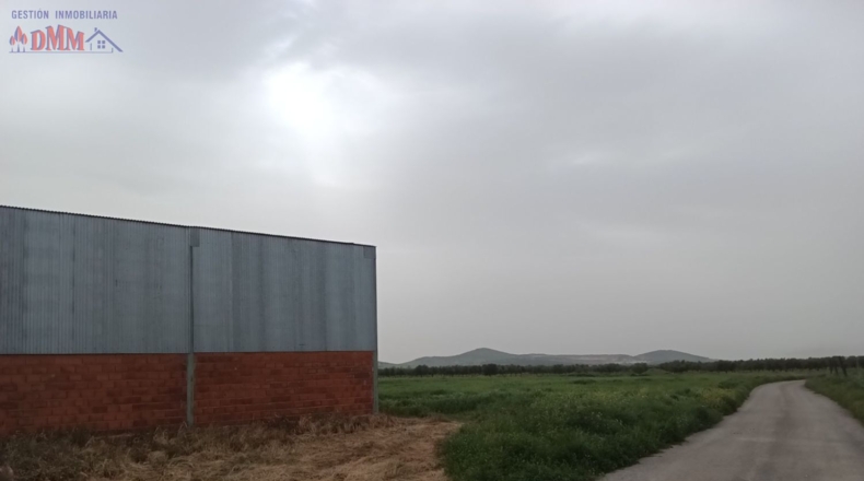 Ciudad Real - Fuente el Fresno - 35500m2